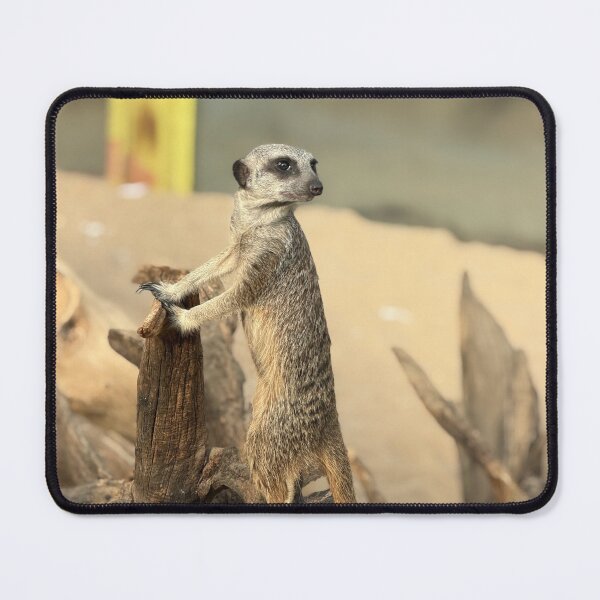 Item preview, Meerkat designed and sold by Tulip87.
