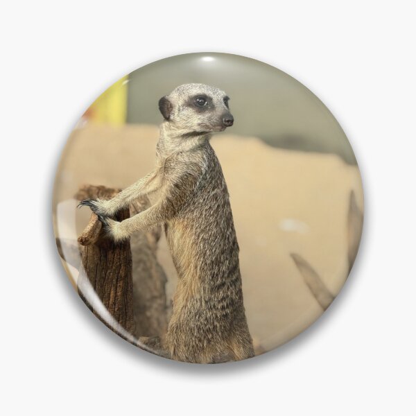 Item preview, Meerkat designed and sold by Tulip87.