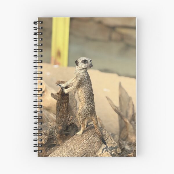 Item preview, Meerkat designed and sold by Tulip87.