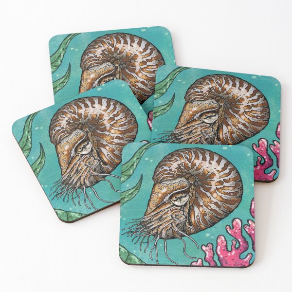 Item preview, Nautilus designed and sold by Higher Light.