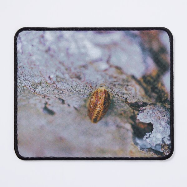 Item preview, Untitled 9 designed and sold by Jodie Cooper.