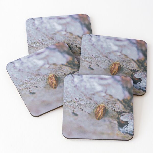 Item preview, Untitled 9 designed and sold by Jodie Cooper.