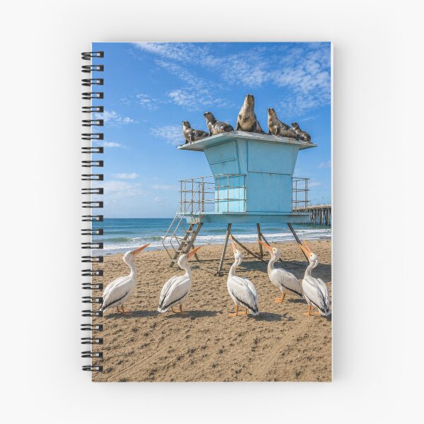 Item preview, Pelicans Want Their Roof Back designed and sold by Kimberly Palmer.