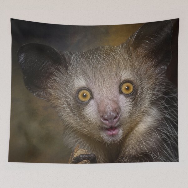 Item preview, Aye Aye Portrait designed and sold by Elisabeth Lucas.