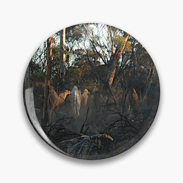 Item preview, Camels In The Bush, Australia 20050323 designed and sold by muz2142.