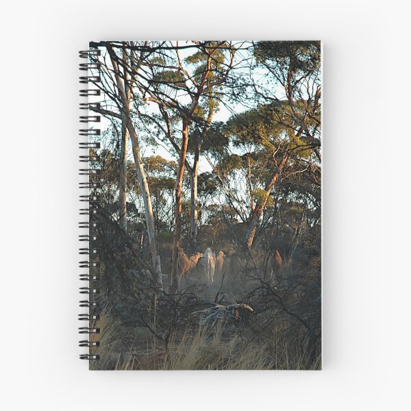 Item preview, Camels In The Bush, Australia 20050323 designed and sold by muz2142.