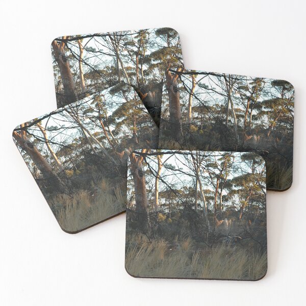 Artikelvorschau, Kamele im Busch, Australien 20050323 entworfen und verkauft von muz2142.