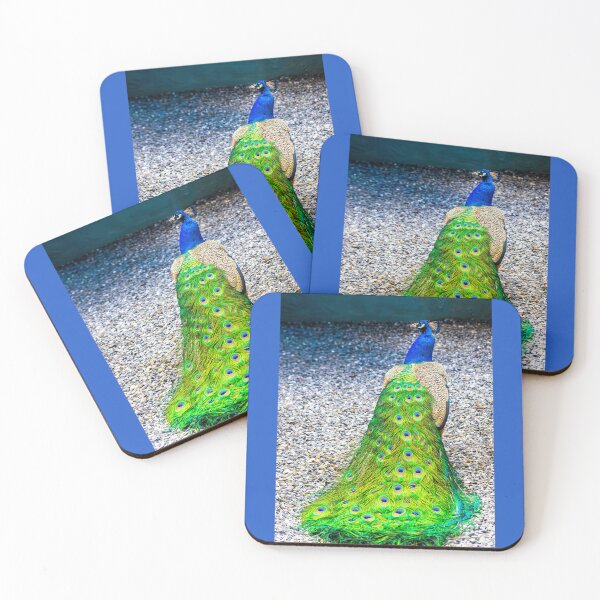 Item preview, Colourful Peacock designed and sold by Stephen Jolly Photography.
