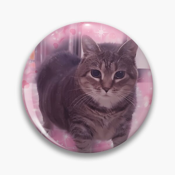 Item preview, Microplastics In Body Cat Meme  designed and sold by arregikrstsd.