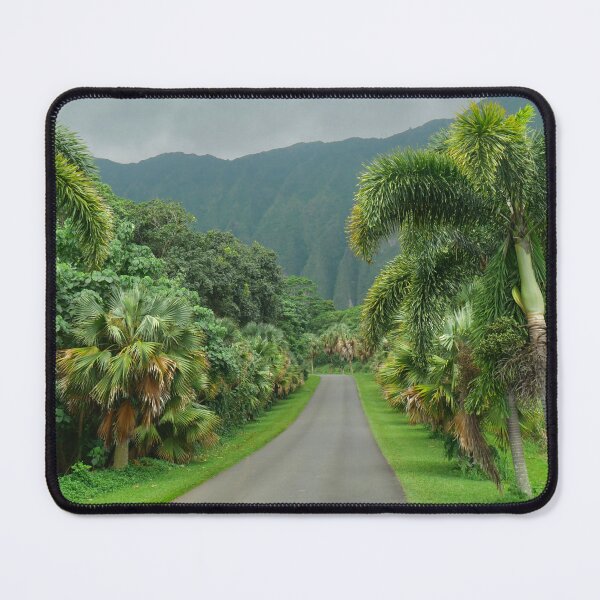 Item preview, Hawaiian Palm Trees: Ho'omaluhia Botanical Garden designed and sold by olivia-wilbur.
