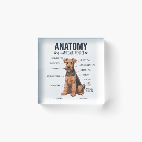 Item preview, Airedale Terrier Anatomy Dog Lover designed and sold by dian-rody-crest.