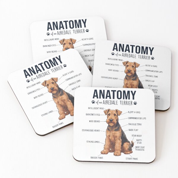 Artikelvorschau, Anatomie des Airedale Terriers – Ein Hundeliebhaber entworfen und verkauft von dian-rody-crest.