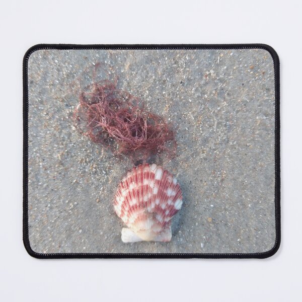 Item preview, Scallop shell 1 designed and sold by KentuckyRed.