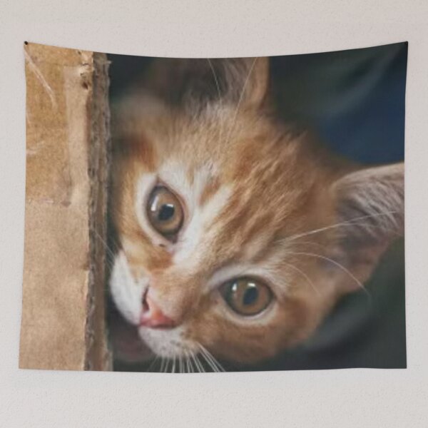 Item preview, cat designed and sold by pksart1.