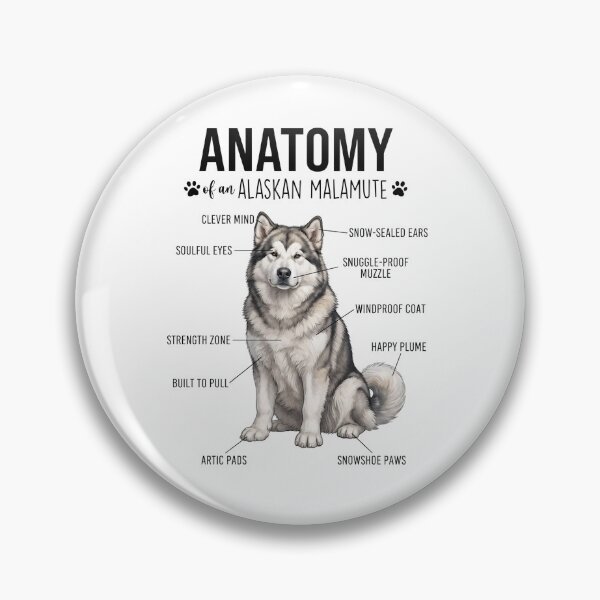 Item preview, Alaskan Malamute Anatomy Dog Lover designed and sold by dian-rody-crest.