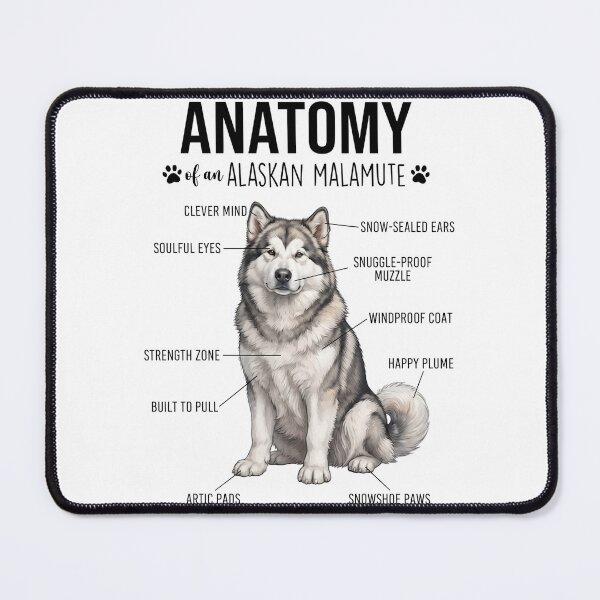 Item preview, Alaskan Malamute Anatomy Dog Lover designed and sold by dian-rody-crest.