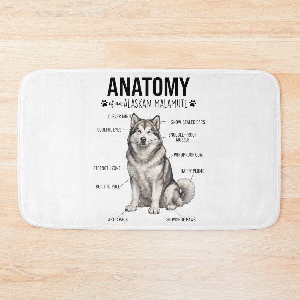 Item preview, Alaskan Malamute Anatomy Dog Lover designed and sold by dian-rody-crest.