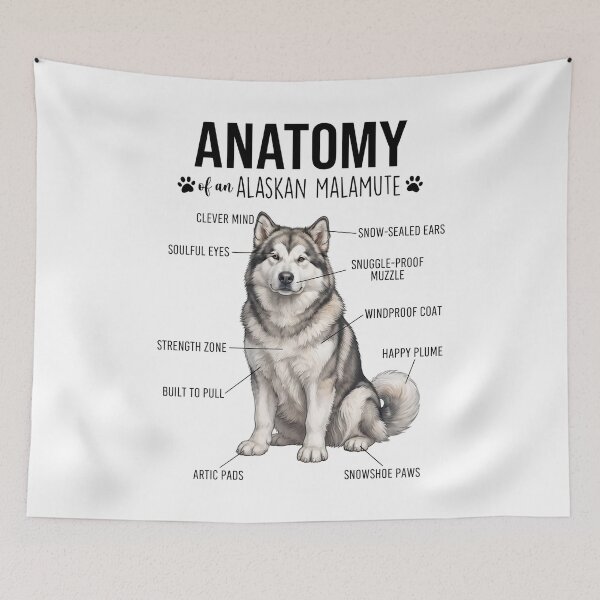 Aperçu de l'œuvre Anatomie du Malamute d'Alaska - Amoureux des chiens créée et vendue par dian-rody-crest.