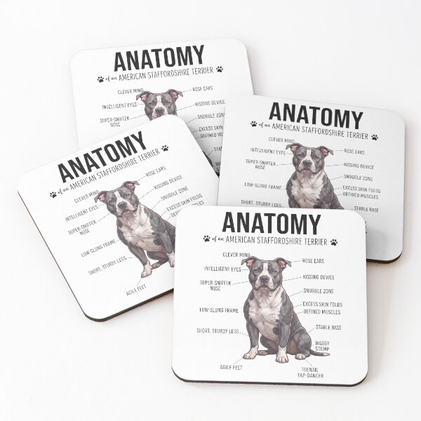 Item preview, American Staffordshire Terrier Anatomy Dog Lover designed and sold by dian-rody-crest.
