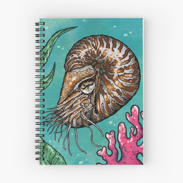 Item preview, Nautilus designed and sold by Higher Light.