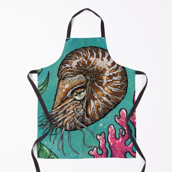 Item preview, Nautilus designed and sold by Higher Light.