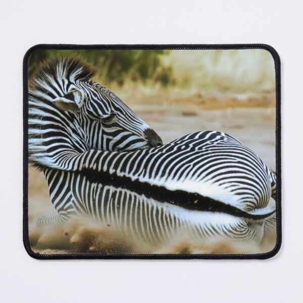 Item preview, Zebra Rolling on the Ground designed and sold by REVOLVE ART 67.