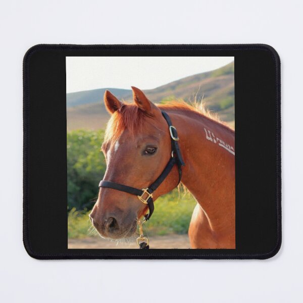 Item preview, mustang designed and sold by pksart1.