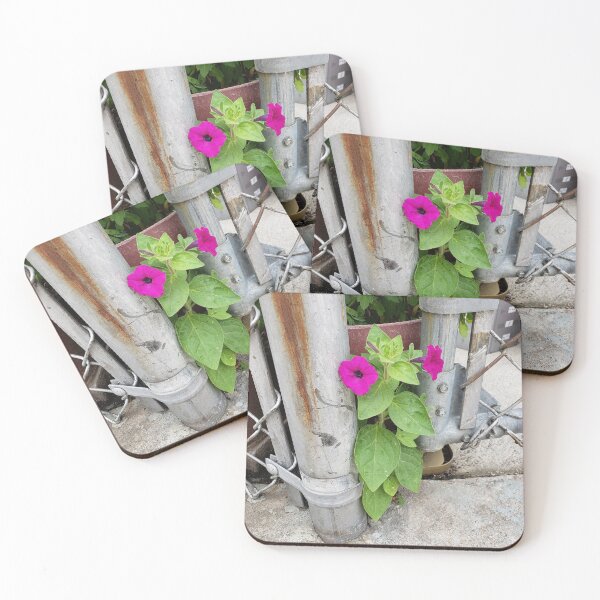 Item preview, Pavementplant Petunia Guarding the Garden Gate designed and sold by concretebotany.