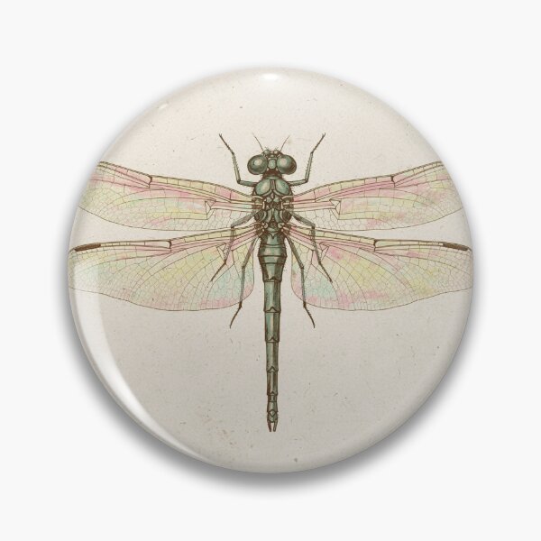Item preview, Antique Dragonfly Specimen Plate in Gilt designed and sold by PictorialWhimsy.