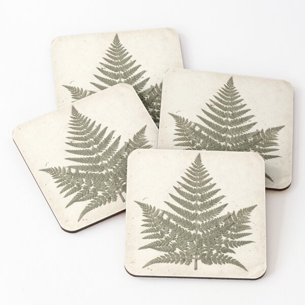 Item preview, Vintage Pressed-Fern Botanical Plate in Sage designed and sold by PictorialWhimsy.