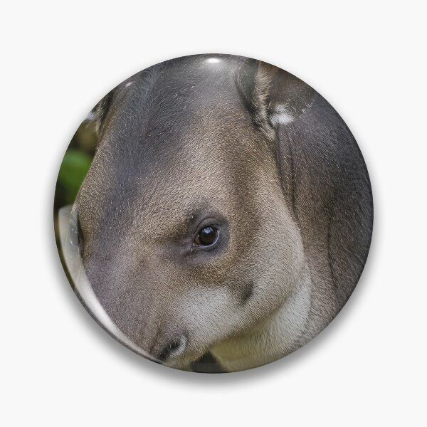 Item preview,  Baird's Tapir designed and sold by Elisabeth Lucas.