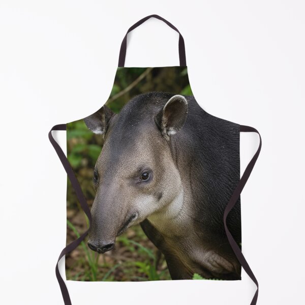 Item preview, Baird's Tapir designed and sold by Elisabeth Lucas.