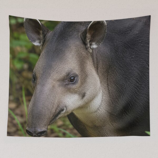 Item preview,  Baird's Tapir designed and sold by Elisabeth Lucas.