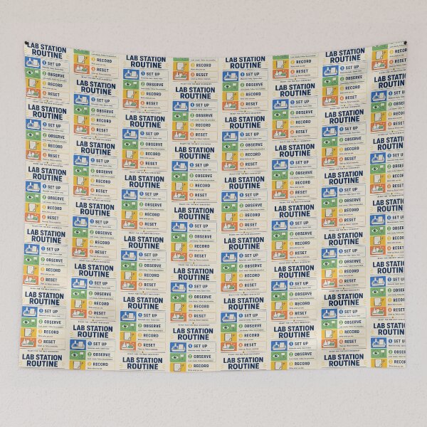 Item preview, Science Classroom Poster – Lab Station Routine for Science Teachers designed and sold by astersgraphics.