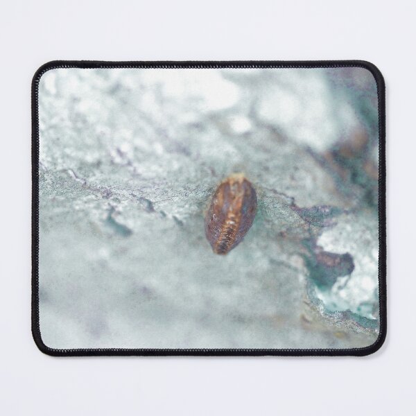 Item preview, Untitled 11 designed and sold by Jodie Cooper.