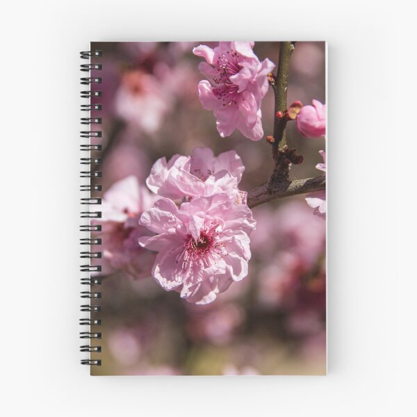 Item preview, Cherry Blossoms designed and sold by Michael Cherne.