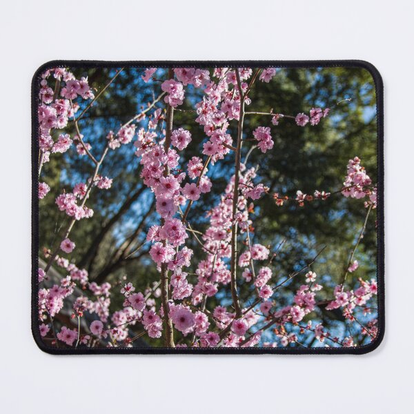 Item preview, Vibrant Pink Cherry Blossoms in Spring designed and sold by Michael Cherne.