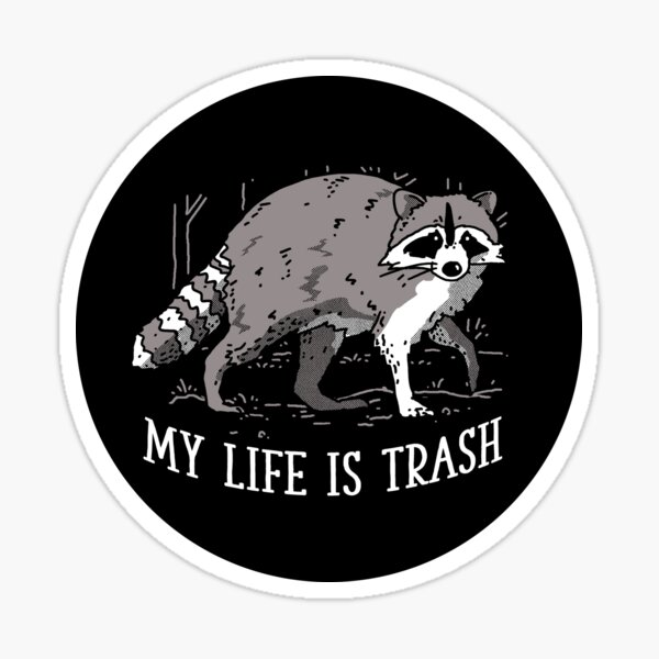 MD It's My Trash Not Yours Raccoon Reusable Sticker Book – Geoffrey Siu Art