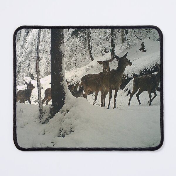 Item preview, Quiet Kodaline aWoodland Majesty designed and sold by Blosslandscape.