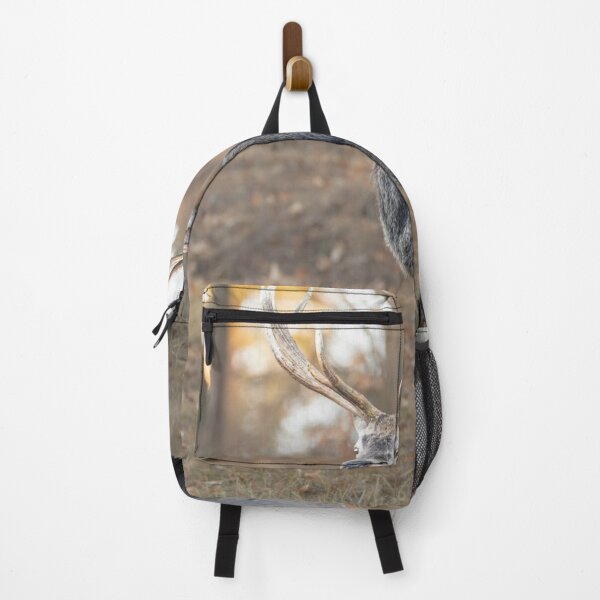 Item preview, Midnight Aurigny Air Services dForest Wanderer designed and sold by Blosslandscape.