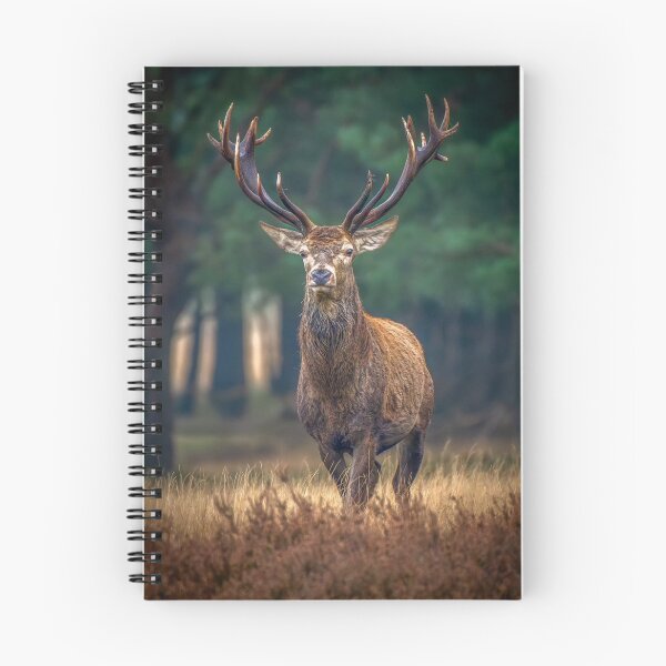 Item preview, Forest Basshunter aKing Spirit designed and sold by Blosslandscape.