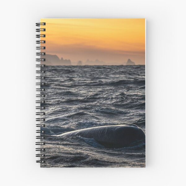 Item preview, Grand Bond University eWhales Explore Waters designed and sold by Sarahsumer.