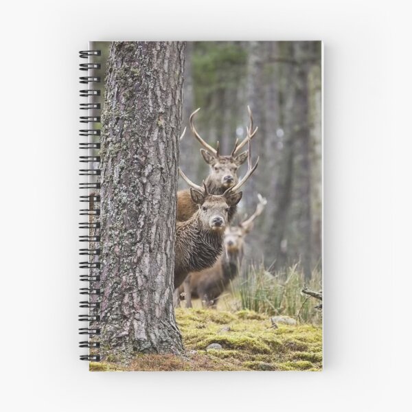Item preview, Tranquil Ski Doo bForest Antlers designed and sold by Blosslandscape.