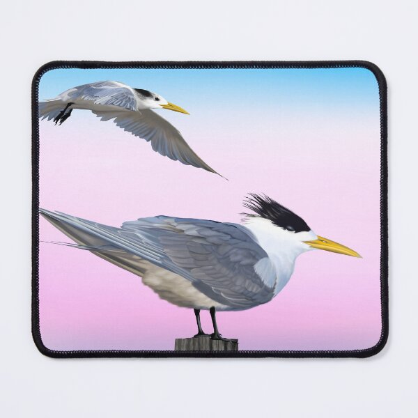 Item preview, Crested tern at dusk designed and sold by Windswell.