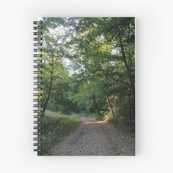 Item preview, Forest Path Sunlight Green Nature Trail Photography designed and sold by Nature Moments.