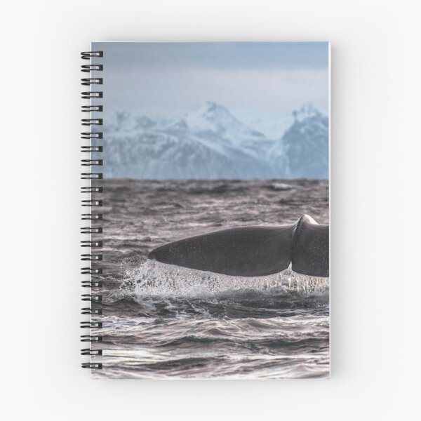 Item preview, Whales Flinders University bProtect Marine Wonders designed and sold by Sarahsumer.