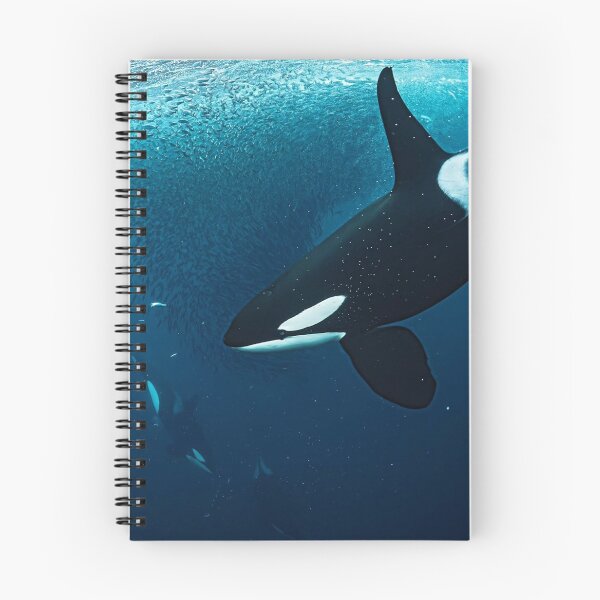 Item preview, Whales Flinders University Create Coastal Magic designed and sold by Sarahsumer.