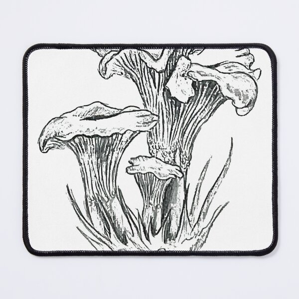 Item preview, Chanterelle Mushroom – Realistic Botanical Pencil Art designed and sold by SaskiaFranken.