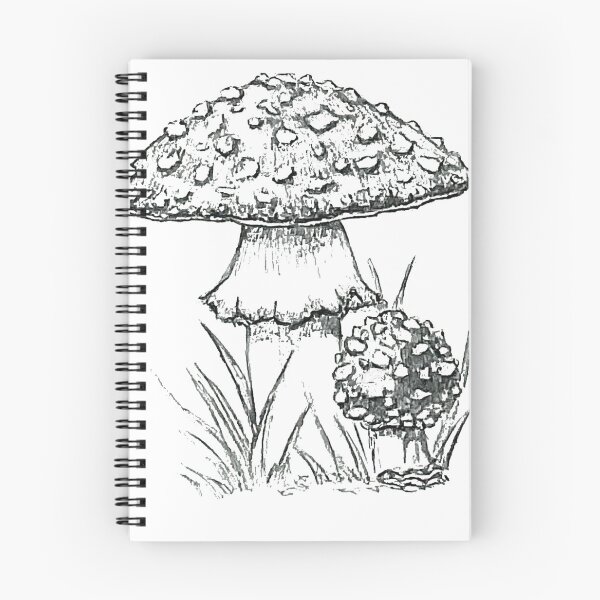 Item preview, Fly Agaric Mushroom – Realistic Pencil Illustration designed and sold by SaskiaFranken.