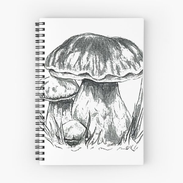 Item preview, Porcini Mushroom – Realistic Botanical Pencil Art designed and sold by SaskiaFranken.
